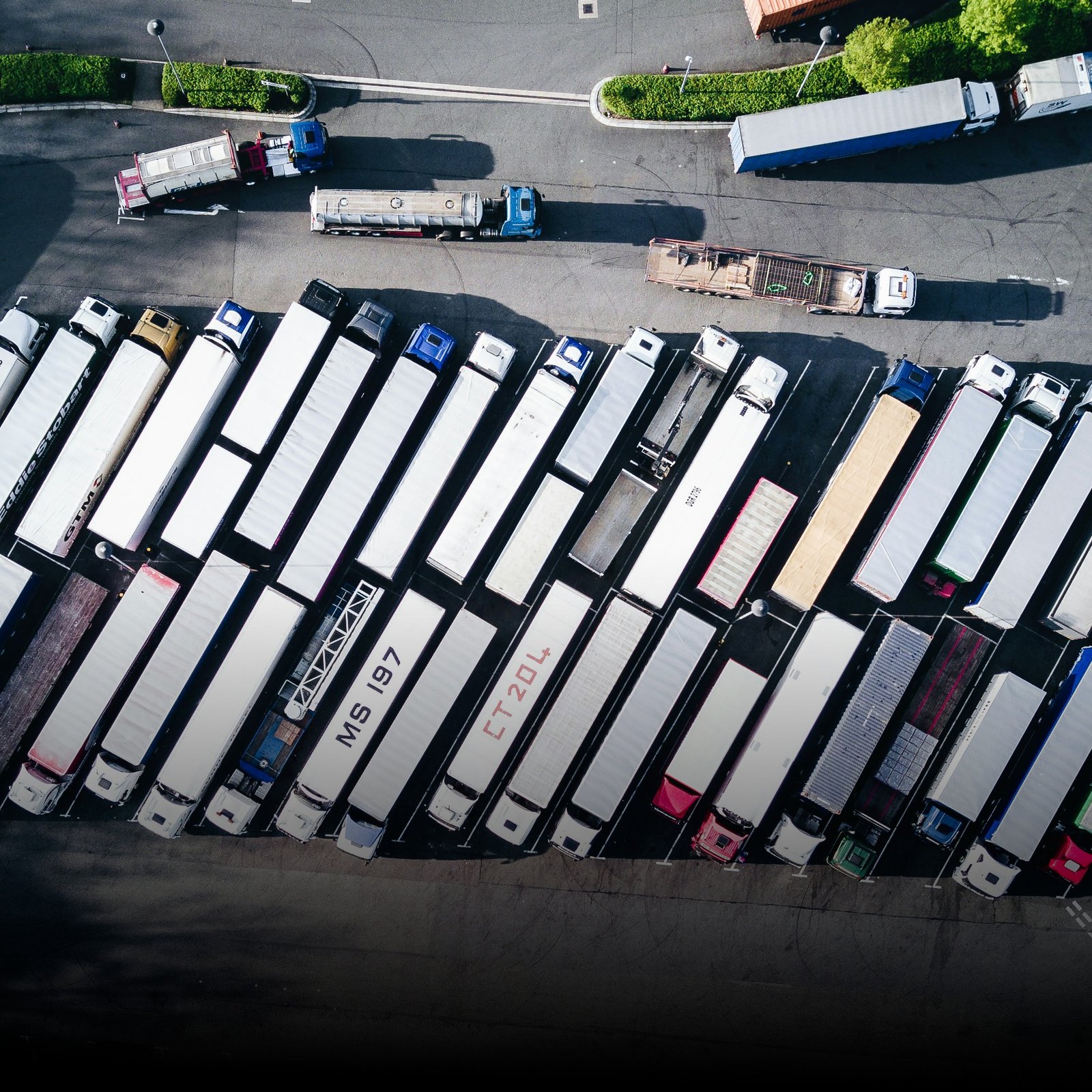 nigel-tadyanehondo-GOD2mDNujuU-unsplash